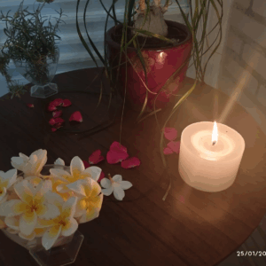 Day Spa Flores do Campo