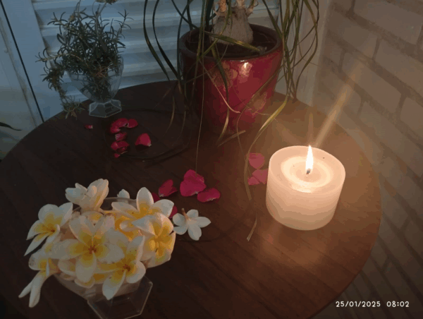 Day Spa Flores do Campo